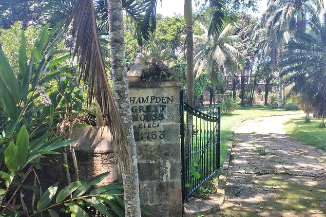 Private Hampden Estate Rum Tour from Montego Bay or Falmouth - What you get for the $149.99 price: value beyond the headline