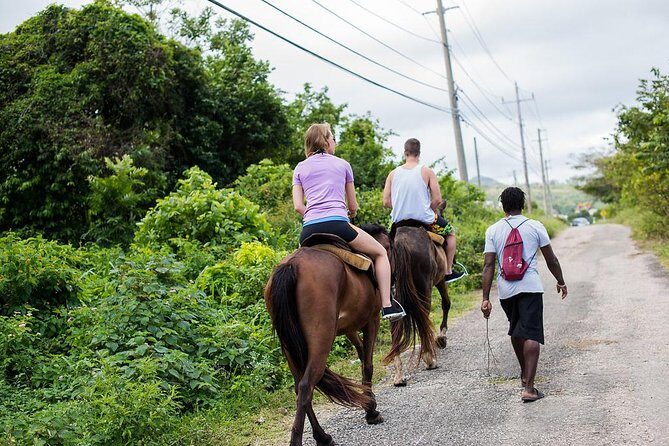 Private Horseback Riding from Ocho Rios with Guide - Meet the stable team and get matched with your horse