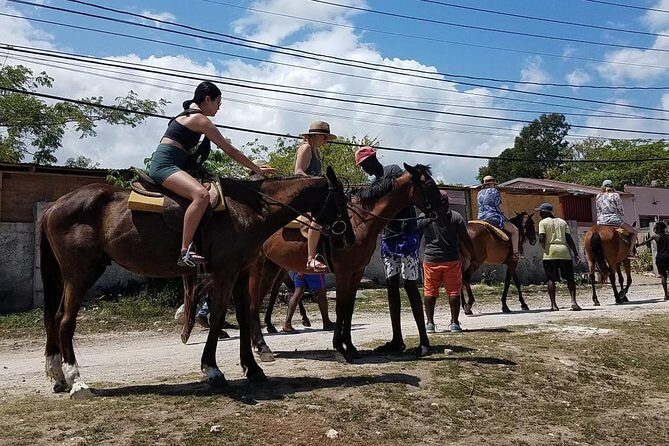 Private Horseback Riding from Ocho Rios with Guide - Private tour rhythm: how a guide keeps the ride personal