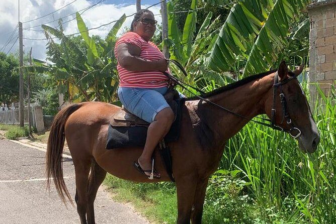 Private Horseback Riding from Ocho Rios with Guide - The countryside ride: landmarks, pace, and what the guide shares