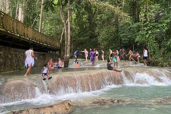Private Horseback Riding, Swimming and Dunn's River Falls Tour - Ocean Horseback Riding: Choosing Your Horse and Handling the Beach Transfer