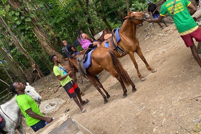 Private Horseback Riding with Blue Hole River Tour in Montego Bay - Blue Hole River Tour: safe water time and the photo moment you’ll remember