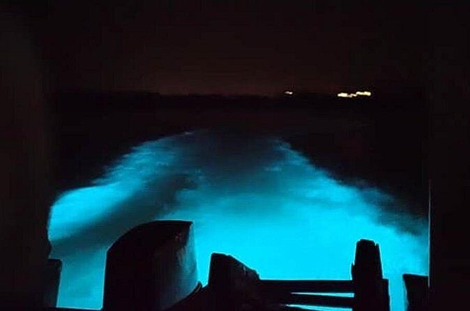 Private Luminous Blue Lagoon Night Tour in Falmouth - Private means your pace, not a scripted herd