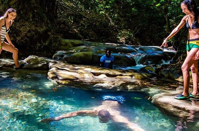 Private Mayfield Falls Waterfalls Tour [ Transportation ] - Price and logistics: what you’re really paying for
