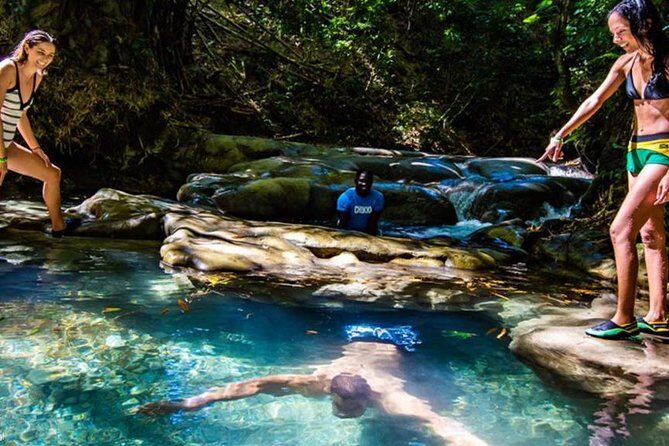 Private Mayfield Falls Waterfalls Tour [ Transportation ] - Mayfield Falls & Mineral Springs: calm jungle pools, not huge falls