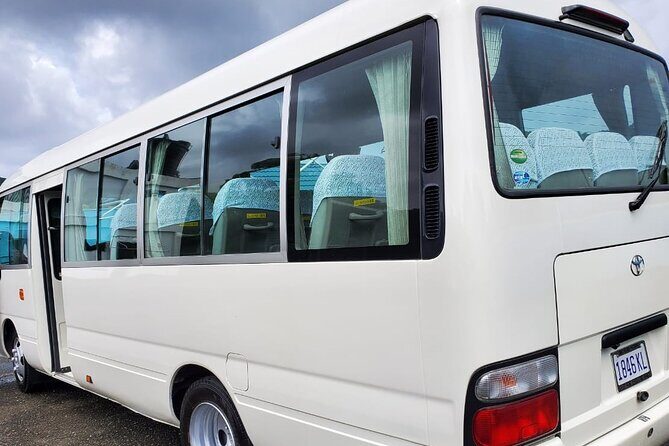 Private Negril Hotels Transfer from Montego Bay (MBJ)Airport - Choosing the right vehicle: bus, minivan, or sedan