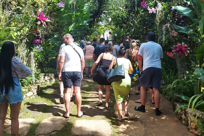 Private Nine Mile Tour from Montego Bay - Weather and the Day You Get