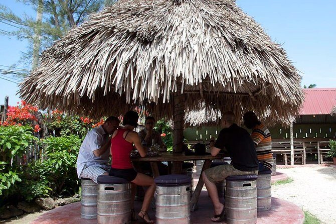 Private Round Trip Transfer for Jamaican Jerk at Scotchie's Ocho Rios - Getting from your hotel or cruise port without taxi math