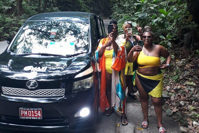 Private Sightseeing Tour from Ocho Rios - Fern Gully rainforest stop: ferns, trees, and easy photo moments