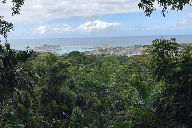 Private Sightseeing Tour in & Around Ocho Rios - The Botanical Gardens Area: Medicinal Plants and Spice Talk
