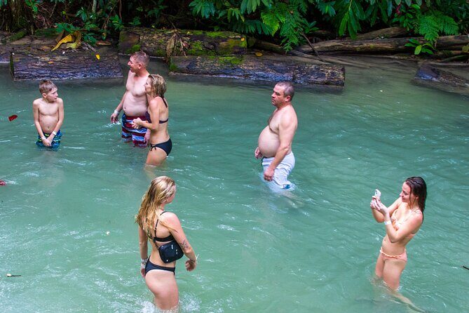 Private Tour - Dunn's River Falls and Ocho Rios Experience from Ocho Rios - Fern Gully: A 2-Mile Rainforest Moment Without the Big-Day Hike