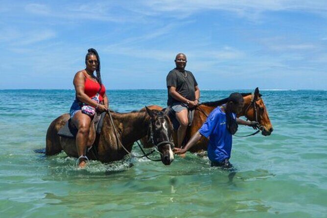 Private Tour from Montego Bay to Horse Back Riding and Bluehole - Pickup Timing and the Smooth Ride South