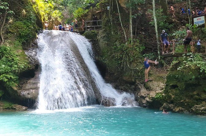 Private Tour from Montego Bay to Horse Back Riding and Bluehole - Drax Hall Country Club Horseback Riding: What You Actually Get