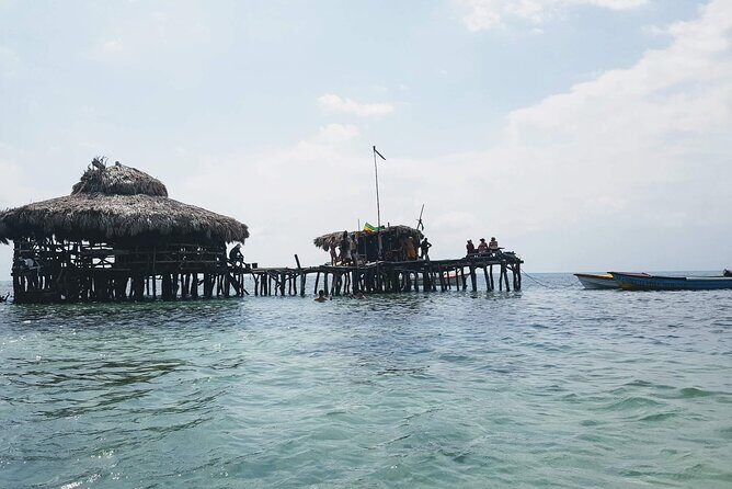 Private Tour from Negril to YS Falls and Pelican Bar - Your driver matters: on-time, welcoming, and question-friendly