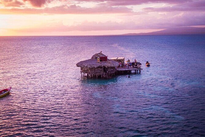 Private Tour from Negril to YS Falls and Pelican Bar - Who should book this Negril private tour?