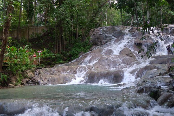 Private Tour From Ocho Rios To Dunn's River Falls - Price and value: why $86 per person can be a smart deal