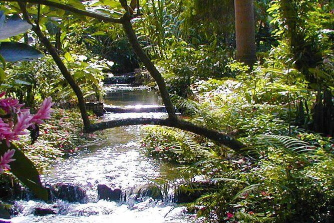 Private Tour From Ocho Rios To Konoko Falls And Garden and Shopping - Key things to know before you go