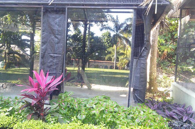 Private Tour From Ocho Rios To Konoko Falls And Garden and Shopping - Ocho Rios shopping without the stress