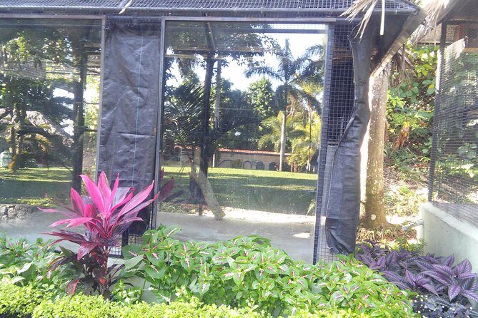 Private Tour From Ocho Rios To Konoko Falls And Garden and Shopping - Lunch: plan for it since it’s not included