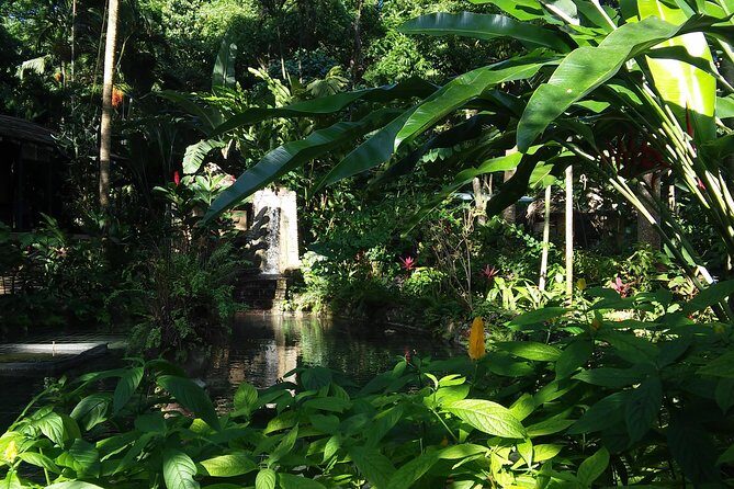 Private Tour From Ocho Rios To Konoko Falls And Garden and Shopping - Who this private tour fits best