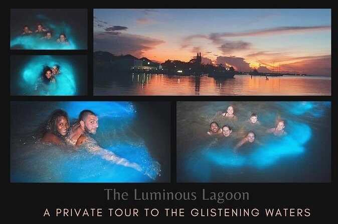 Private Tour in the Glistening Waters from Montego Bay - Value check: why this $59.99 private night ride can be a smart buy