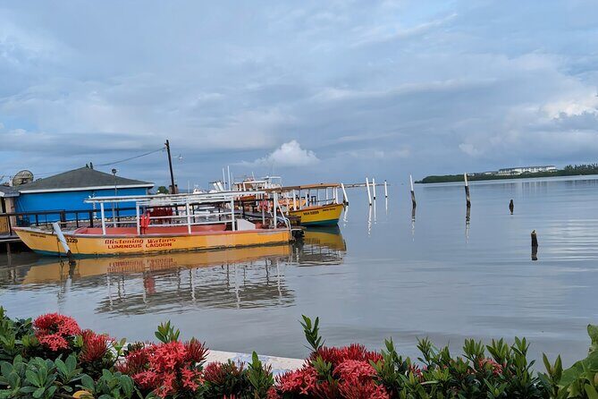 Private Tour in the Glistening Waters from Montego Bay - Should you book the Luminous Lagoon private tour?