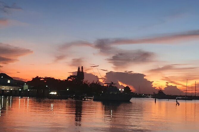 Private Tour in the Glistening Waters from Montego Bay - FAQ