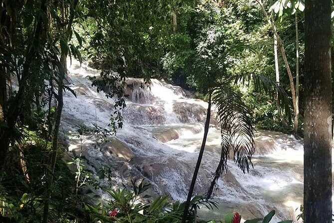 Private Tour Montego Bay To Blue Hole and Dunns River falls - Stop 2: Blue Hole with natural pools, 15-ft jumping options, and certified lifeguards