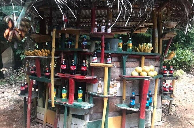 Private Tour of Bob Marley House from Ocho Rios - Who This Private Bob Marley House Tour Fits Best