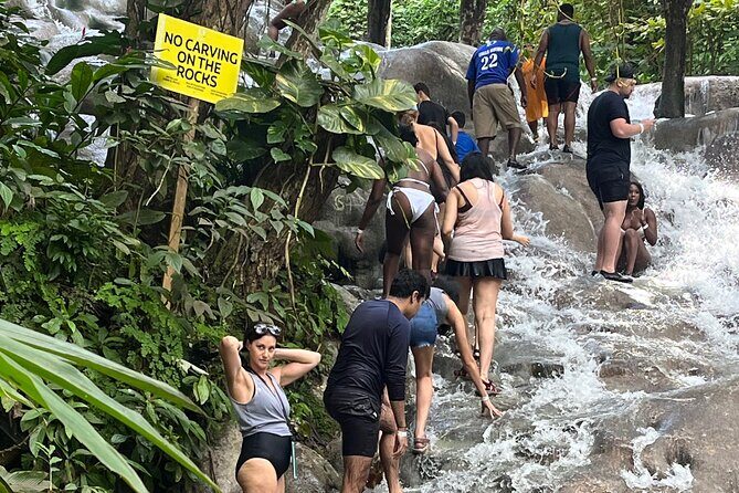 Private Tour To Blue Hole and Dunn’s River from Montego Bay - A Private Montego Bay Day: Timing, Pace, and Why It Works