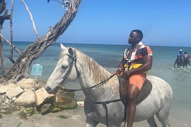 Private Tour to Dunns River and Horseback Riding with Local Guide - Who This Tour Fits Best in Jamaica