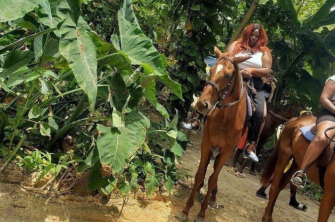 Private Tour to Dunns River and Horseback Riding with Local Guide - Should You Book This Dunns River and Horseback Tour?