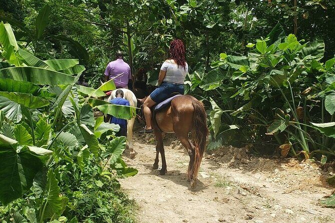 Private Tour to Dunns River and Horseback Riding with Local Guide - What the Horseback Ride Along the Caribbean Shore Feels Like
