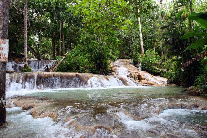 Private Tour to Dunn's River Falls From Ocho Rios - Key highlights to look for