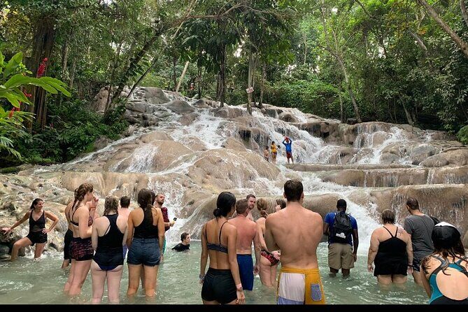 Private Transportation from Montego Bay to Mystic Mountain and Dunn's River Fall - Key highlights worth your attention