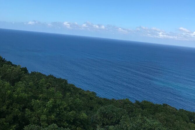 Private Transportation from Montego Bay to Mystic Mountain and Dunn's River Fall - Should you book it?