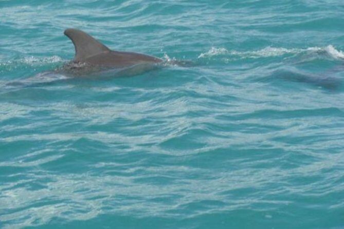 [PRIVATE] YS Falls, Black River, Pelican Bar - Entrance & Lunch - A Private South-Coast Day From Montego Bay