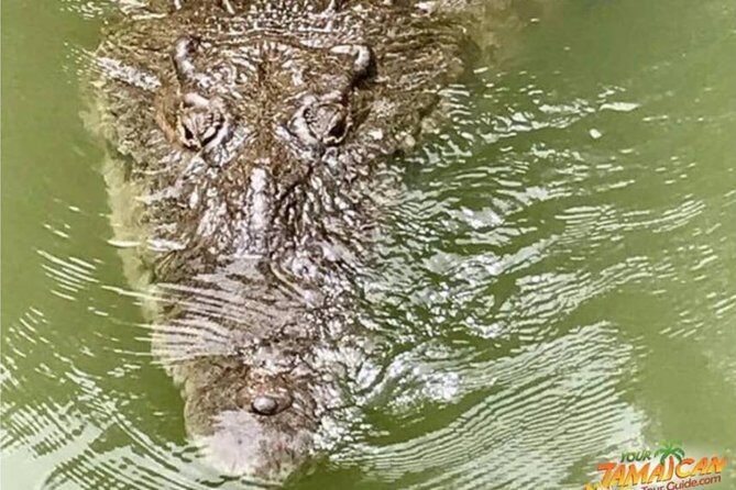 [PRIVATE] YS Falls, Black River, Pelican Bar - Entrance & Lunch - Price and Value: How $347 Fits a Private Day