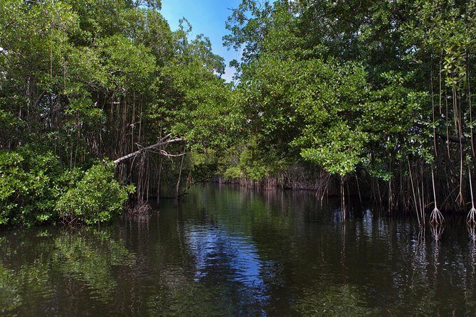 [PRIVATE] YS Falls, Black River, Pelican Bar - Entrance & Lunch - Practical Tips for a Smoother Day