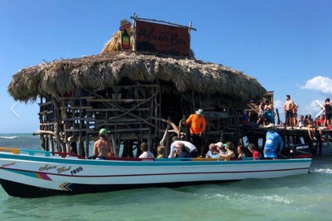 [PRIVATE] YS Falls, Black River, Pelican Bar - Entrance & Lunch - YS Falls: 120-Foot Waterfalls, Jitney Getting You Closer, and Swim Time