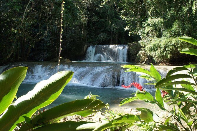 [PRIVATE] YS Falls from Negril - Entrance fees + Lunch Included - Negril to the South Coast: How the Morning Sets the Tone