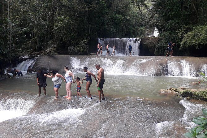 Private YS Falls Tour from Montego Bay - The Guide Factor: On-Time, Informed, and Ready With Tips