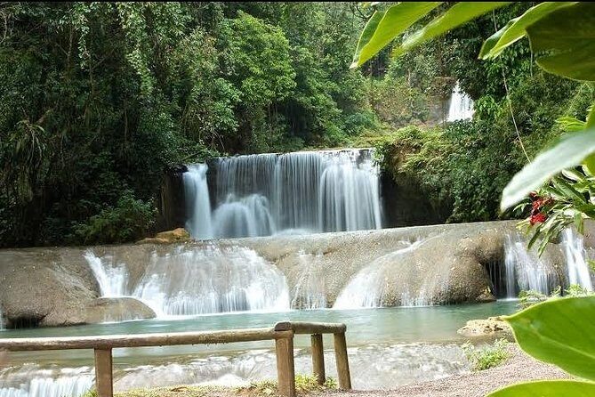 Private YS Falls Tour from Montego Bay - Price and Value: Why $150 Per Person Can Make Sense Here