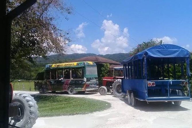 Private YS Falls Tour from Montego Bay - What to Bring: Small Items That Make the Water Day Smoother
