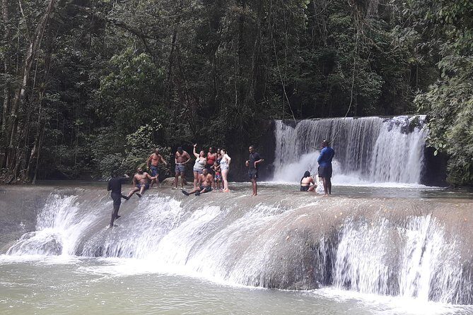 Private YS Falls Tour from Montego Bay - Best Fit: Who This Private YS Falls Tour Works For