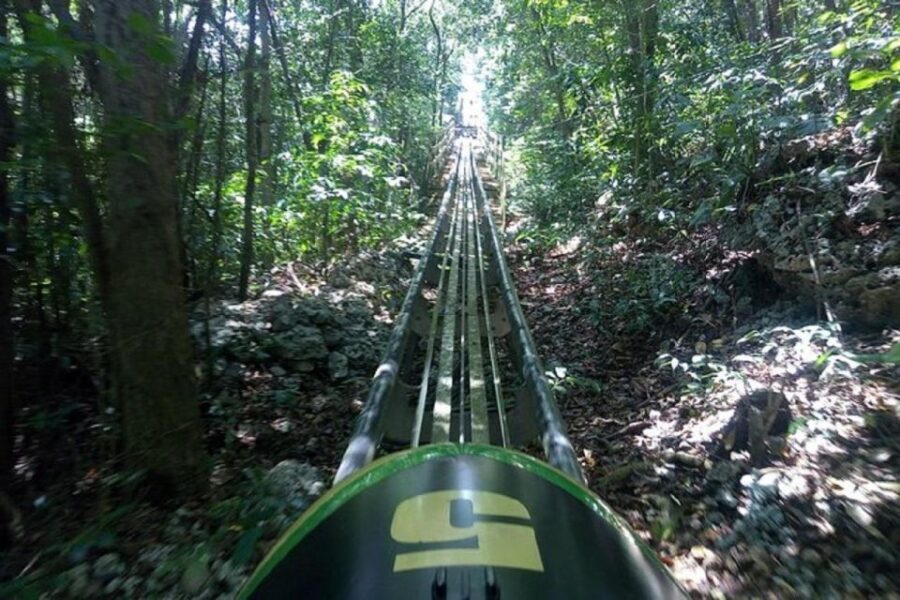 Rainforest Bobsled Mystic Mountain transportation - Pickup choices: hotels, cruise ports, and one consistent driver cue