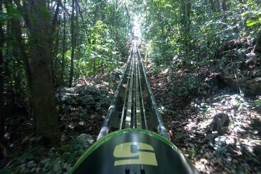 Rainforest Bobsled Mystic Mountain transportation - Who this is best for