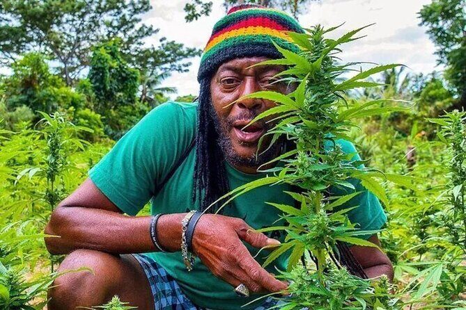 Rasta Safari Atv Experience and Rick's Cafe Private Tour - Key things I’d note before you go
