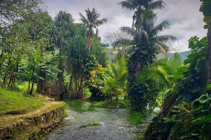 Rastafari Cultural ATV Community Experience from Negril - ATV time through mountains, fields, and village life