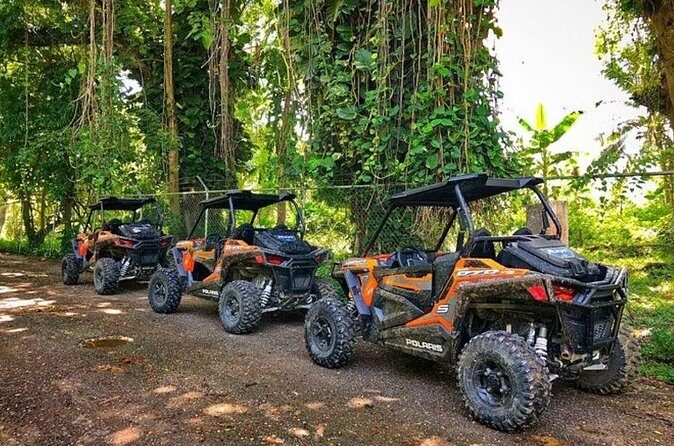 Rastafari Cultural ATV Community Experience from Negril - Lunch with music: you’ll leave fed, not just tired